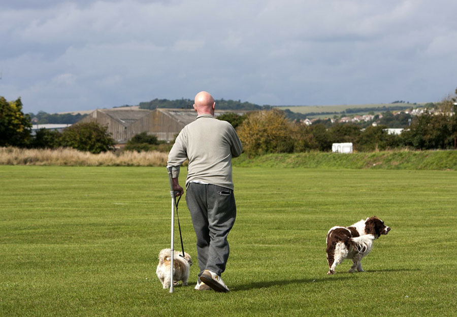 Mann mit Krücke und 2 Hunden
