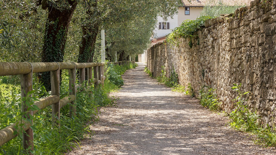 Breiter Weg am Bauernhof