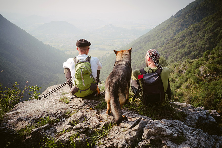 Wanderurlaub mit Hund