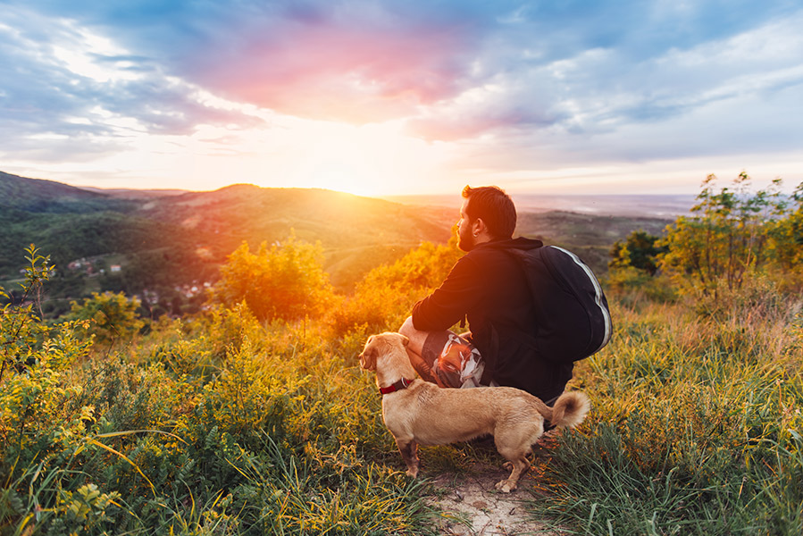 Hund und Herrchen genießen Sonnenuntergang
