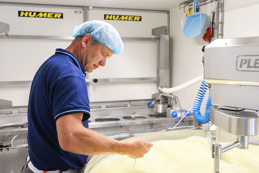 Richtige Herstellung von Käse