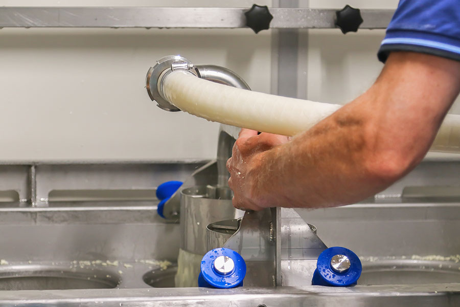 Hygienestandards in der Käserei