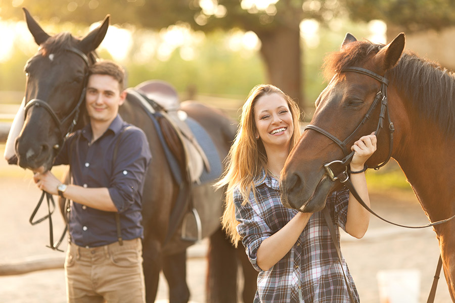 Pferde reiten