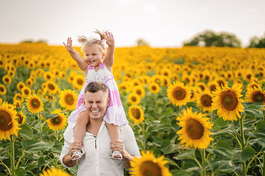 Vater und Tochter im Sonnenblumenfeld