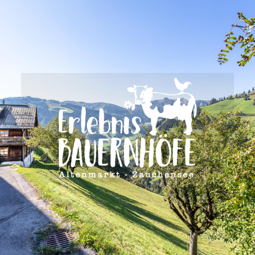 Bauernhöfe im Altenmarkt-Zauchensee