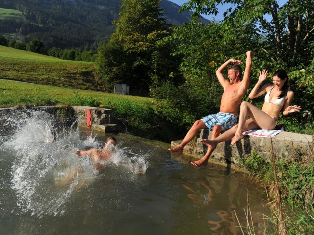 Götzbauernhof