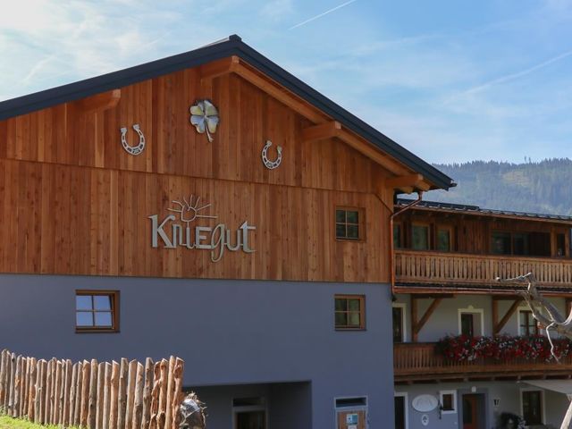 Kniegut