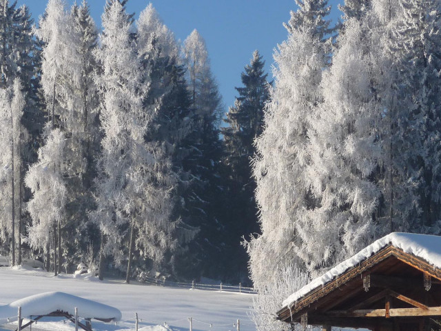 Wellnessbauernhof Ederbauer
