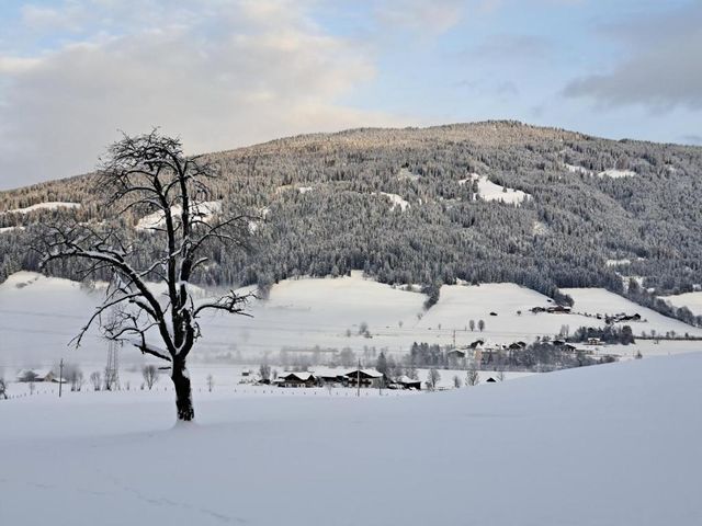 Palfengut