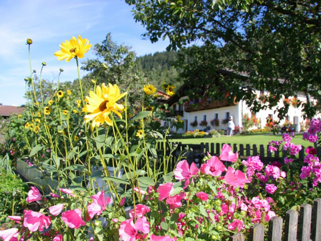 Sinnhubbauernhof