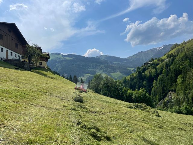 Pfandlinghof