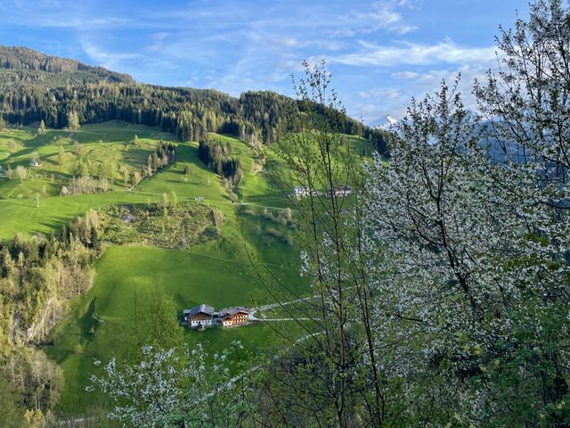 Pfandlinghof