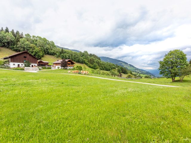 Widholzhof