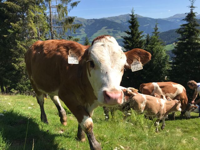 Unterhof